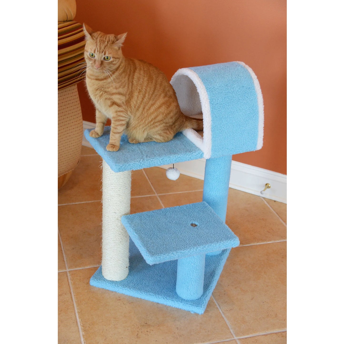 Cat sitting on a blue and white cat tree against an orange wall.