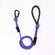 A colorful striped dog leash with a black handle, featuring a red and blue pattern, and a black D-shaped carabiner.