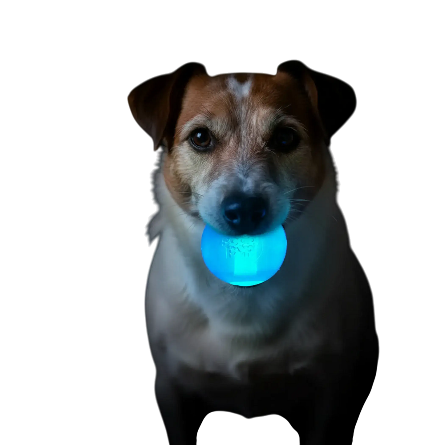 Scoot Strobe Light Up Dog Ball – Blue translucent ball with Scoot branding on white background – Floating fetch toy – Rosie's Pet Paradise