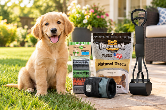How to Potty Train a Puppy: A Kind, Consistent Routine