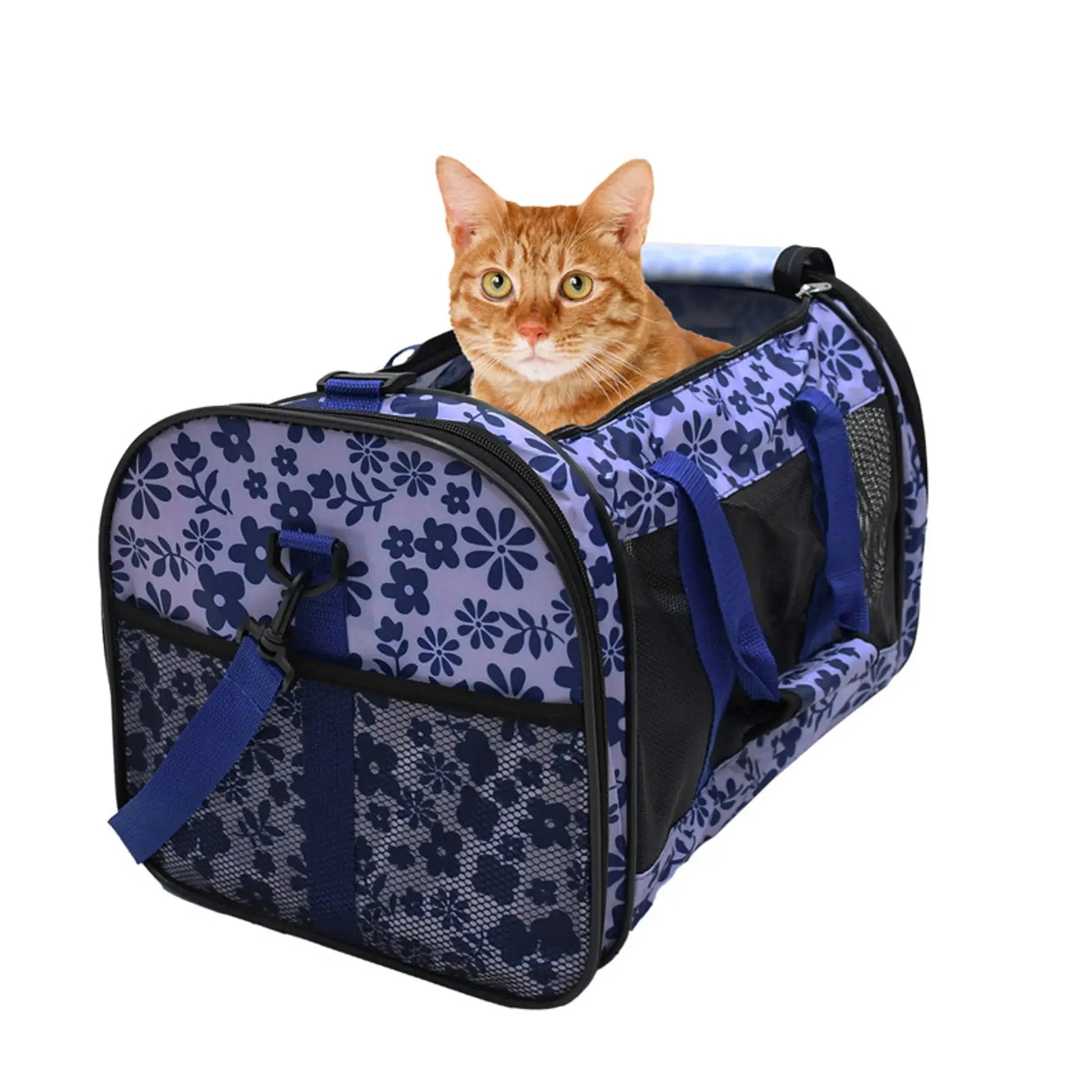 Cat in a blue floral pet carrier on a white background