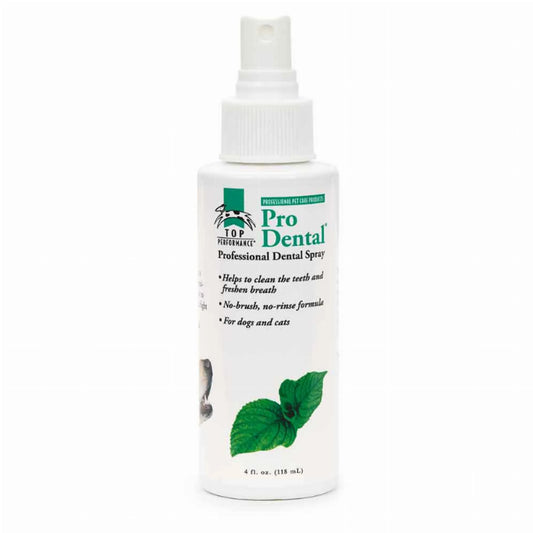 Pro Dental professional dental spray bottle on a white background