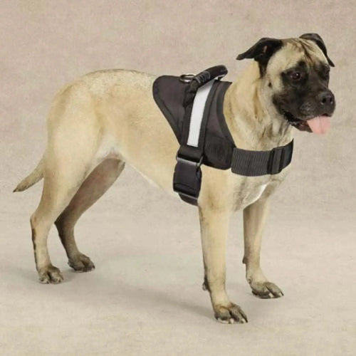 Guardian Gear Dog Harness 36-46 Inch – Secure Fit for Active Dogs