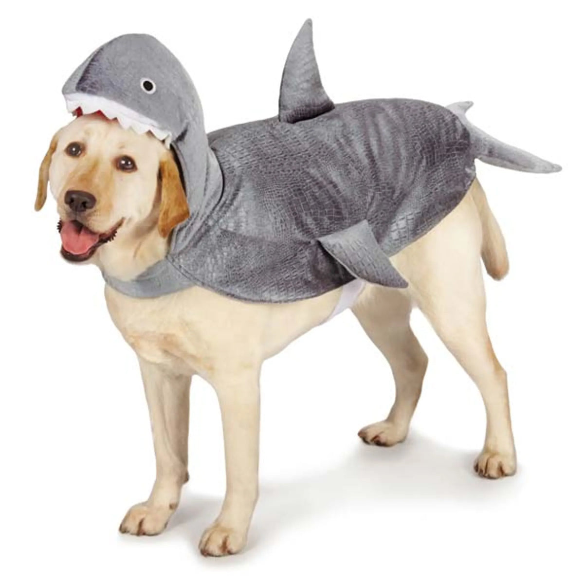 Dog wearing a shark costume on a white background