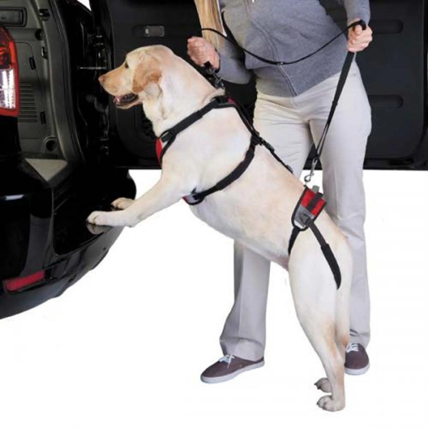 Pet Lift and Go Lead Mobility Aid – Person helping dog into car with supportive harness – Easy mobility aid for dogs – Rosie's Pet Paradise