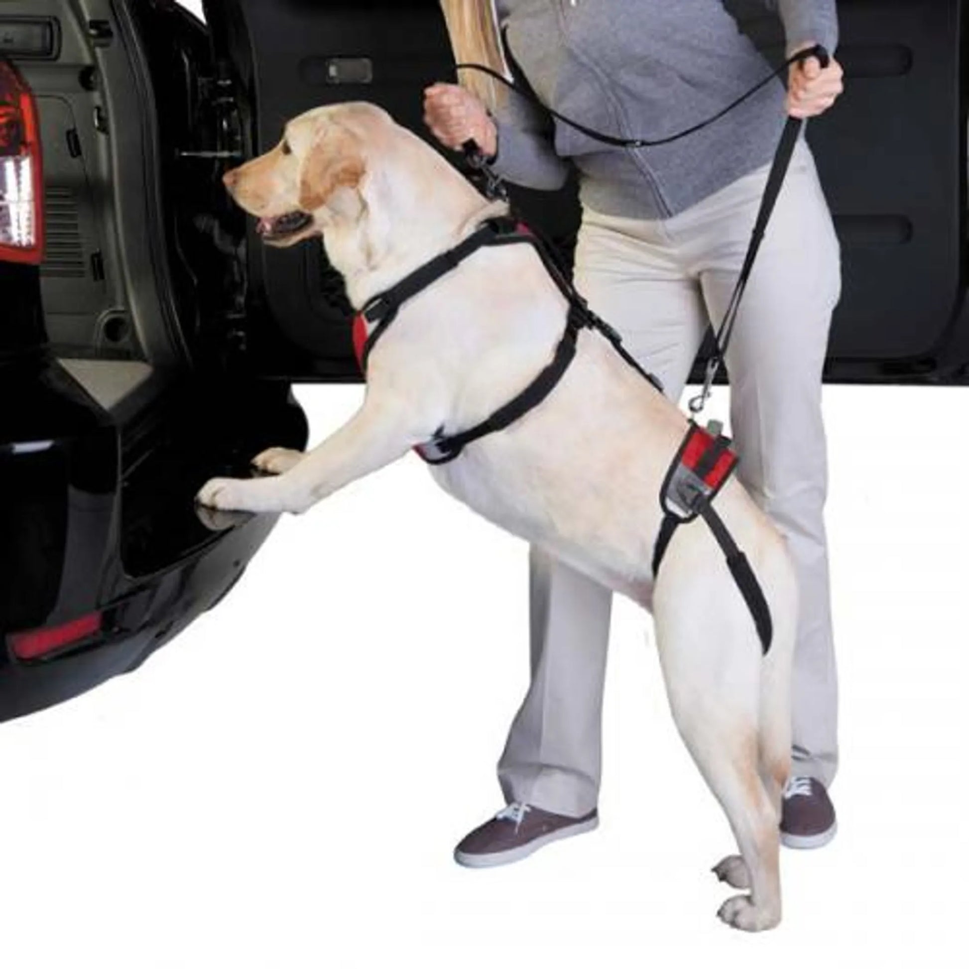 Pet Lift and Go Lead Mobility Aid – Person helping dog into car with supportive harness – Easy mobility aid for dogs – Rosie's Pet Paradise
