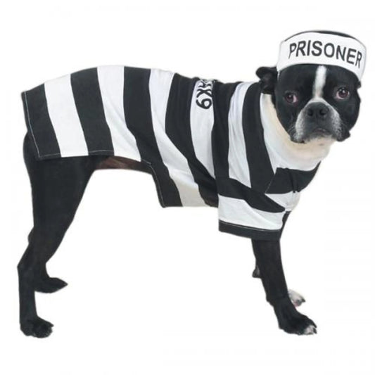 Dog wearing a prisoner costume with black and white stripes and a 'PRISONER' hat.