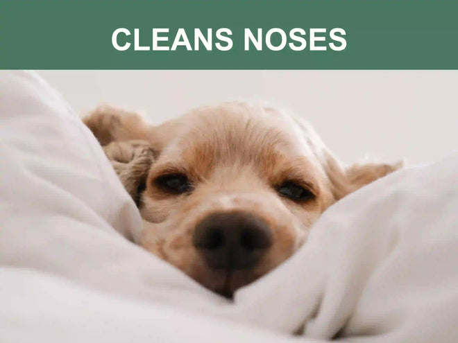 Label of Mr. Peanut's Naturals Pet Wipes package with product details and an illustration of a dog.