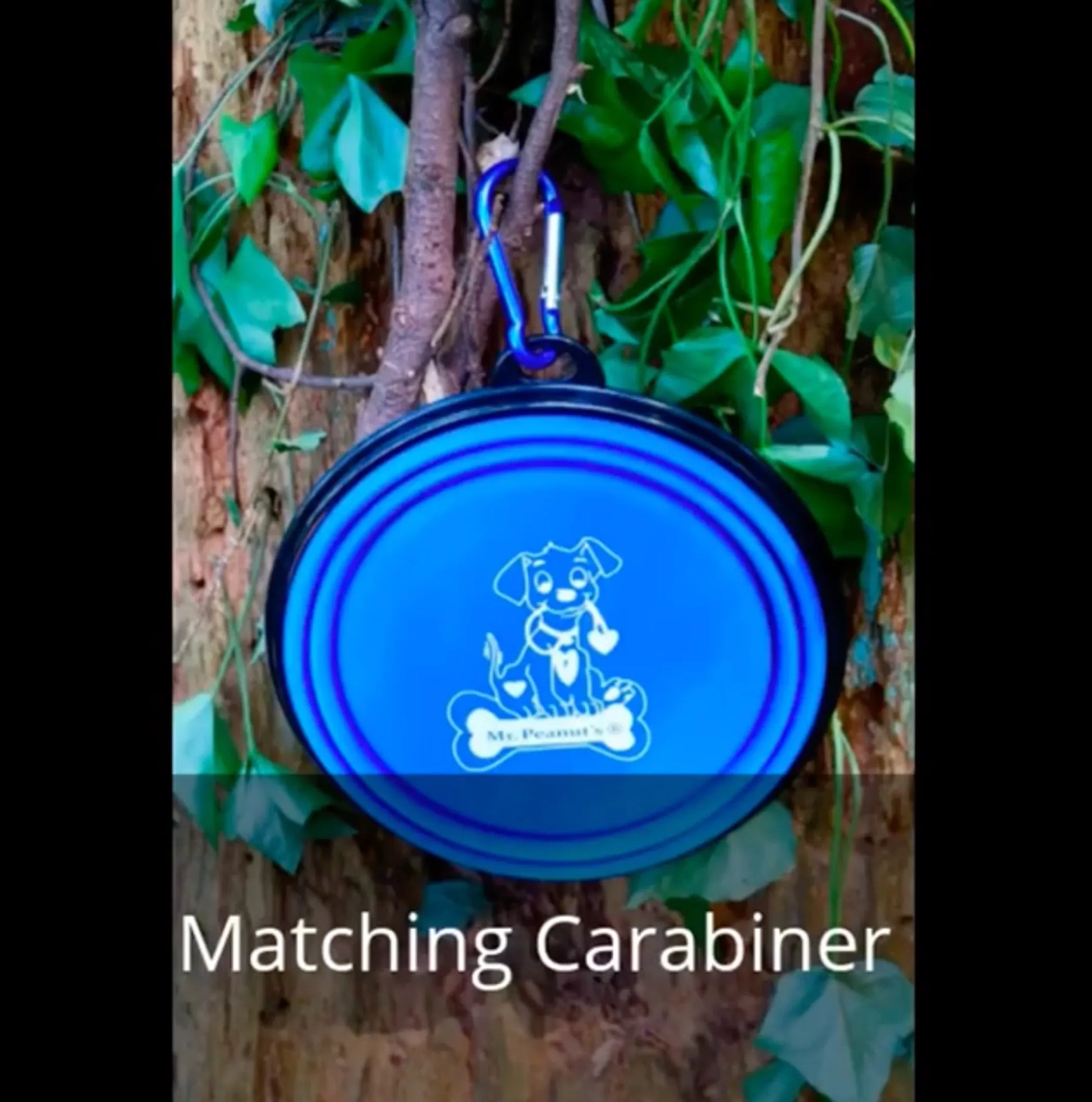 Blue carabiner and disc attached to tree branch – Portable collapsible dog bowl in use outdoors – Rosie's Pet Paradise