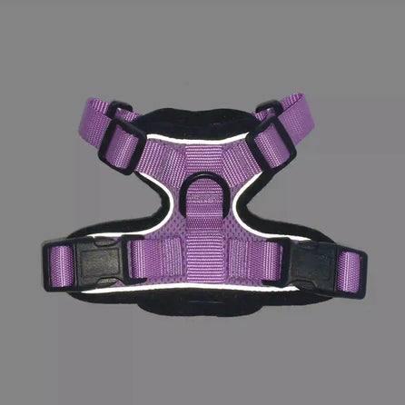 Purple and black striped reflective harness.