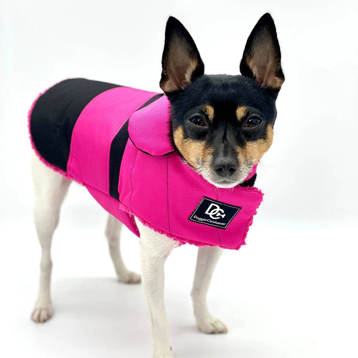 DoggieCoutureNY Water Resistant Coat