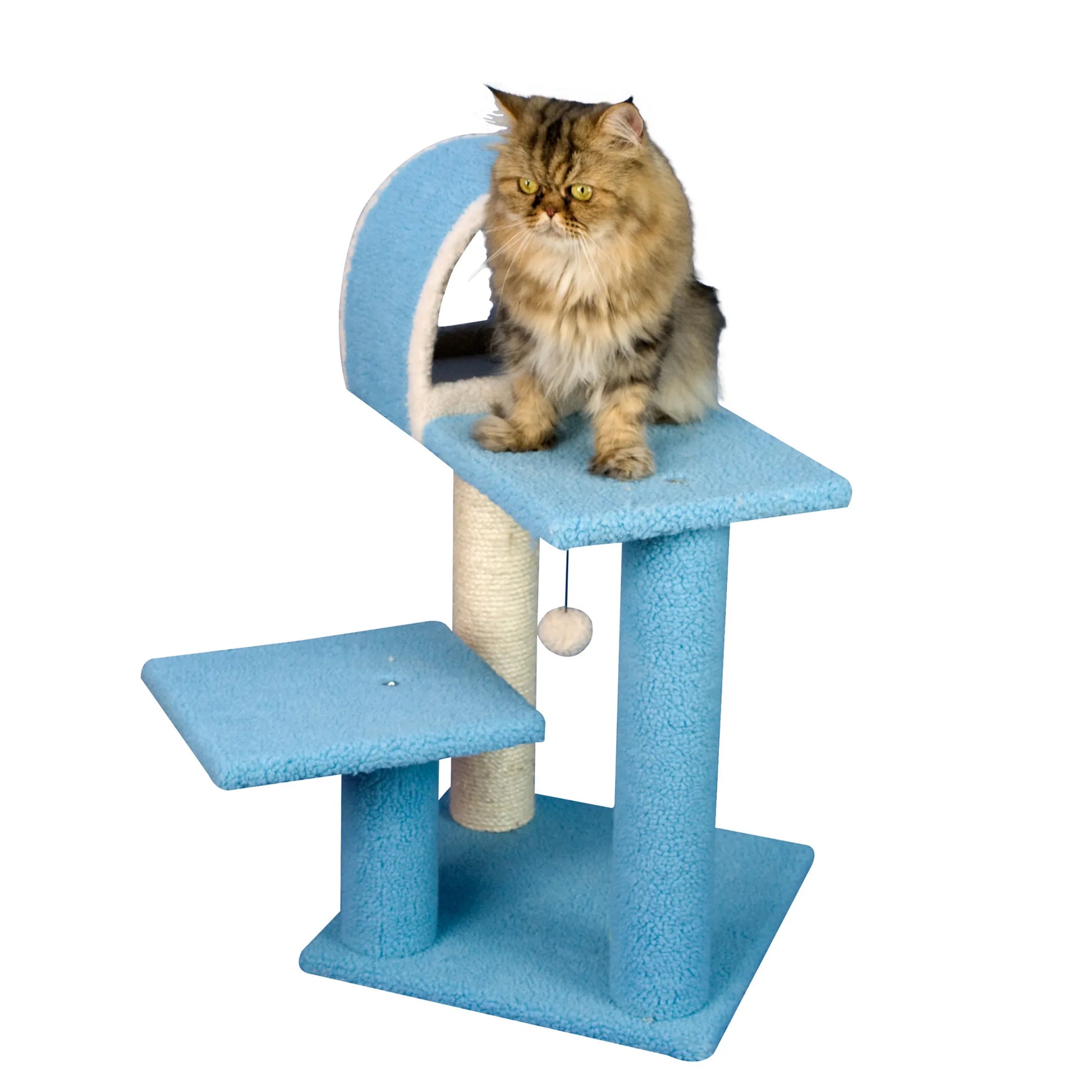 Cat sitting on a blue cat tree with a white background