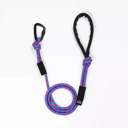 A colorful striped dog leash with a black handle, featuring a red and blue pattern, and a black D-shaped carabiner.