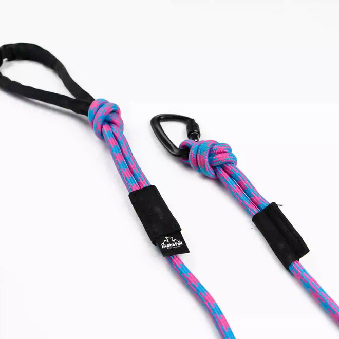 A colorful striped dog leash with a black handle, featuring a red and blue pattern, and a black D-shaped carabiner.