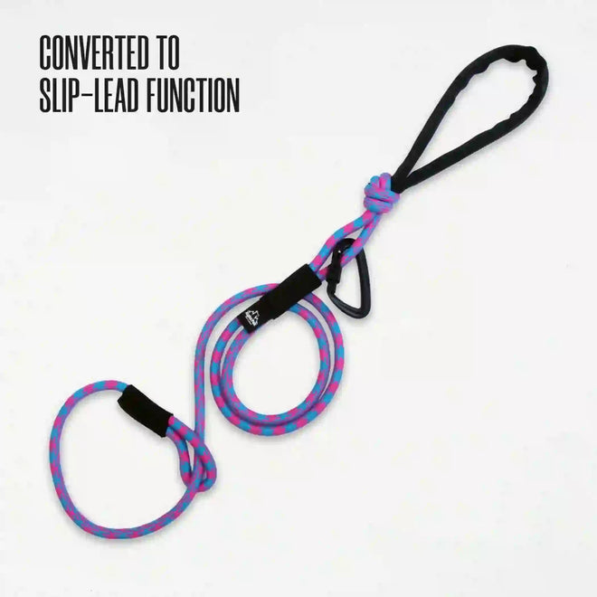 A colorful striped dog leash with a black handle, featuring a red and blue pattern, and a black D-shaped carabiner.