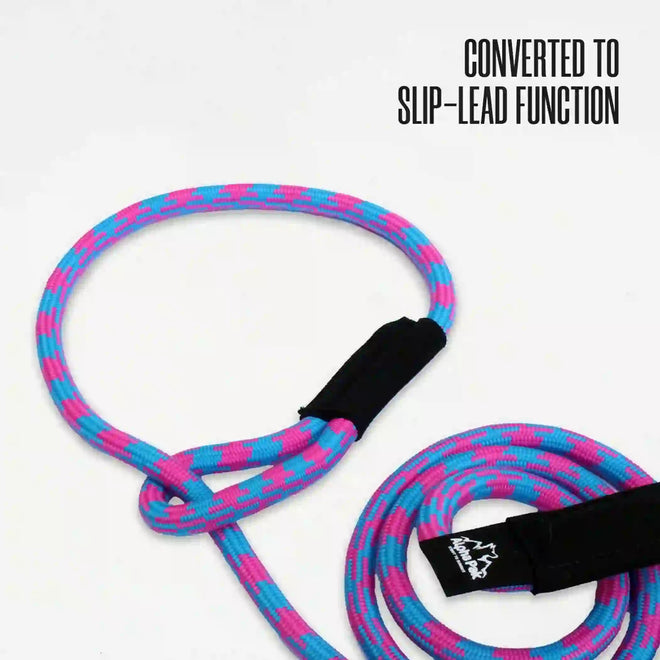 A colorful striped dog leash with a black handle, featuring a red and blue pattern, and a black D-shaped carabiner.