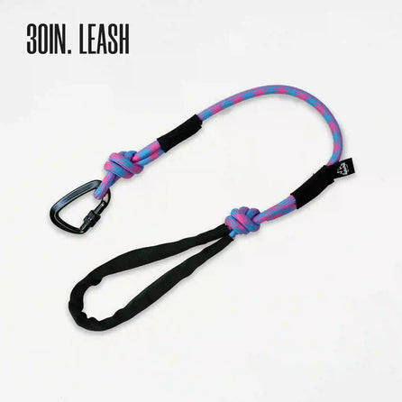 A colorful striped dog leash with a black handle, featuring a red and blue pattern, and a black D-shaped carabiner.