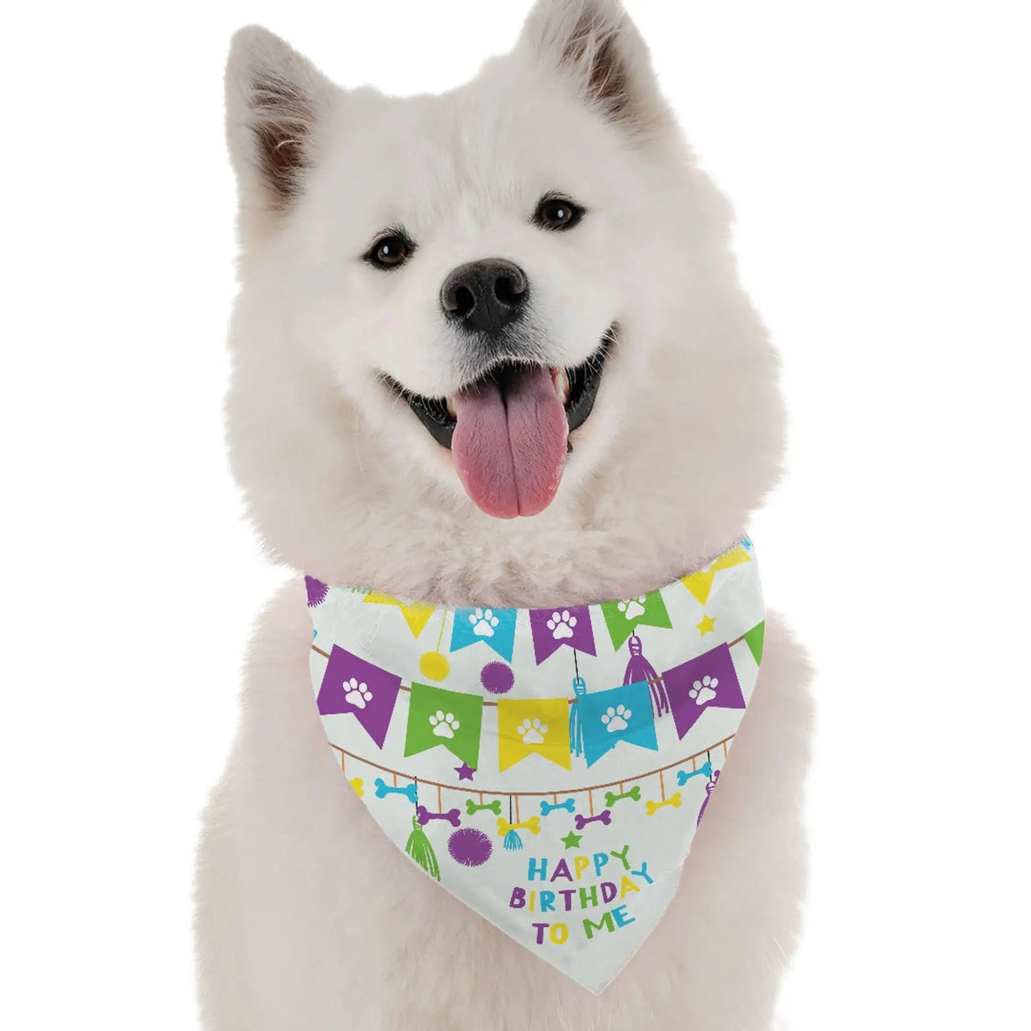 Happy Birthday to Me Boy Dog Bandana – White dog wearing colorful birthday bandana on white background – Rosie's Pet Paradise