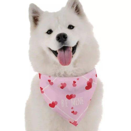 A white dog wearing a pink bandana with a 'BE MINE' text and heart patterns.