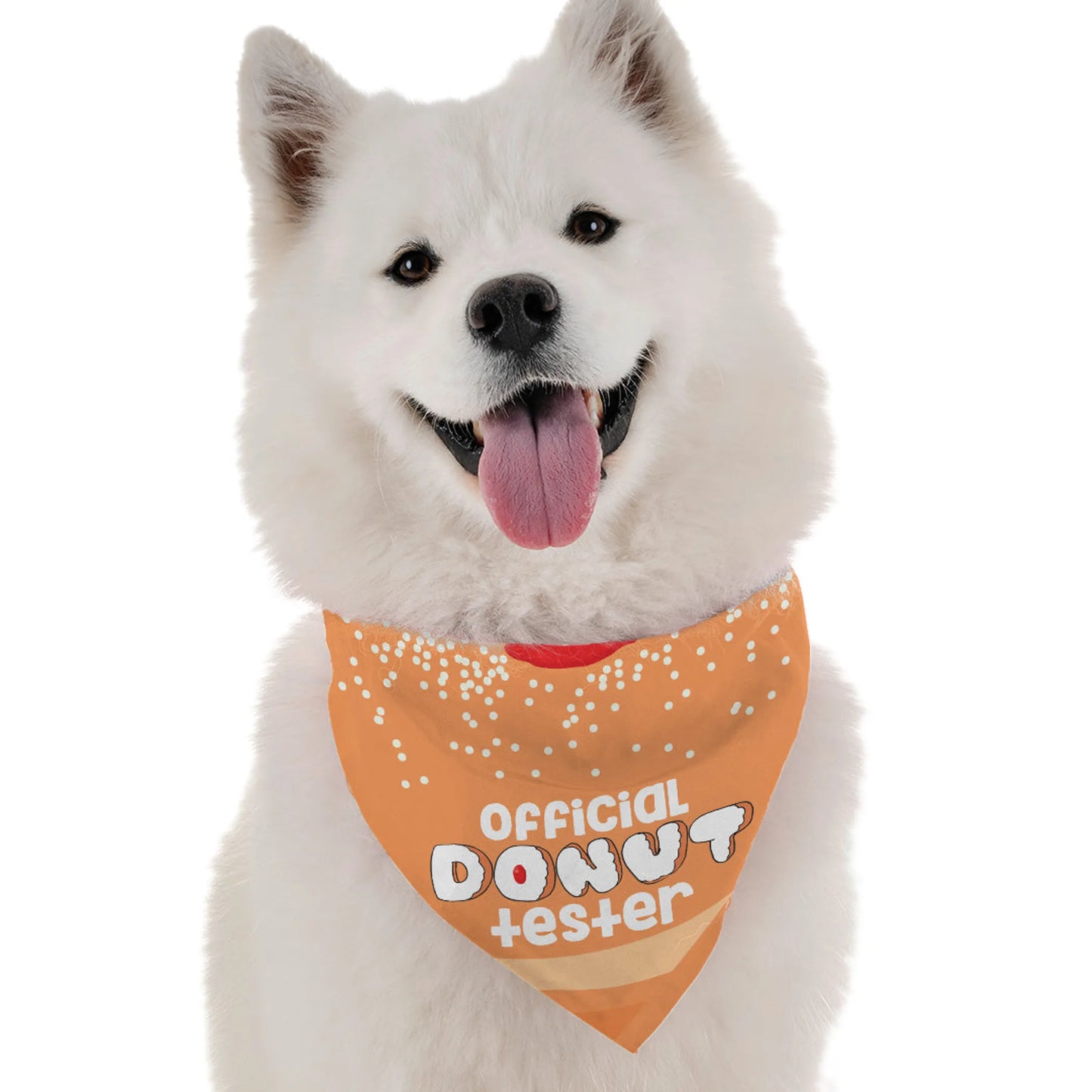 Official Donut Tester Dog Bandana – White dog wearing novelty bandana on white background – Funny dog bandana – Rosie's Pet Paradise
