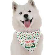 Santa's Little Helper BanDoggie