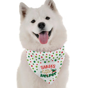 Santa's Little Helper BanDoggie