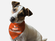 Happy Halloweenie Bandoggie