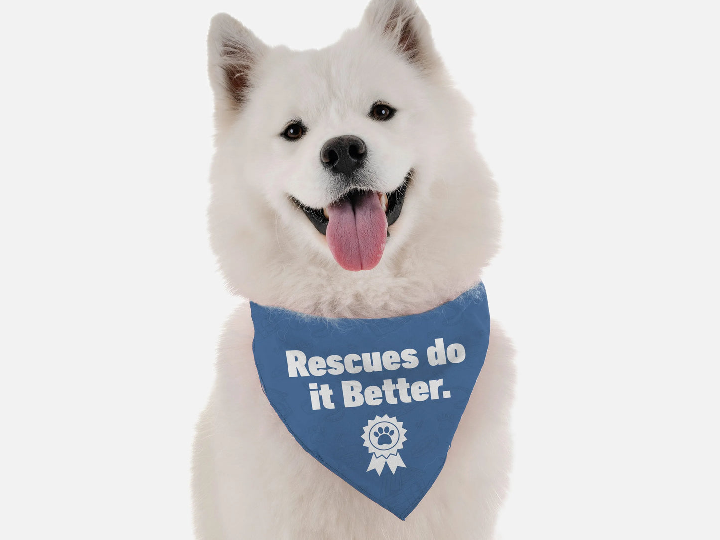 Rescues Do It Better Dog Bandana – White dog wearing blue bandana with text on white background – Rescue dog bandana – Rosie's Pet Paradise