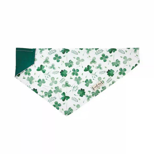 A green over-the-collar dog bandana with a four leaf clover pattern.