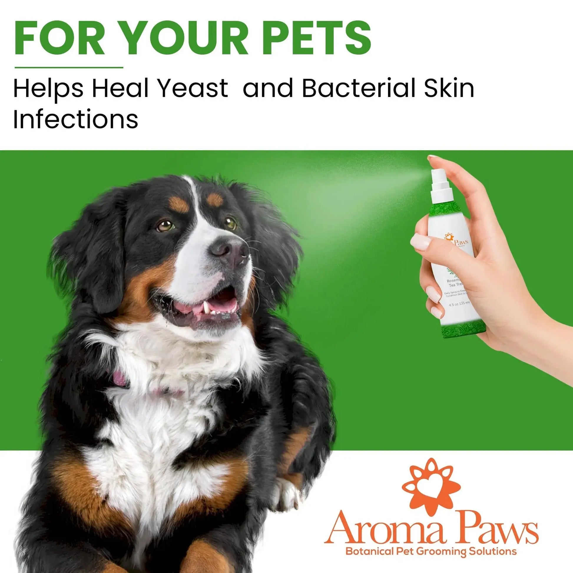 Dog coat spray with rosemary and tea tree for freshness and tangle-free care