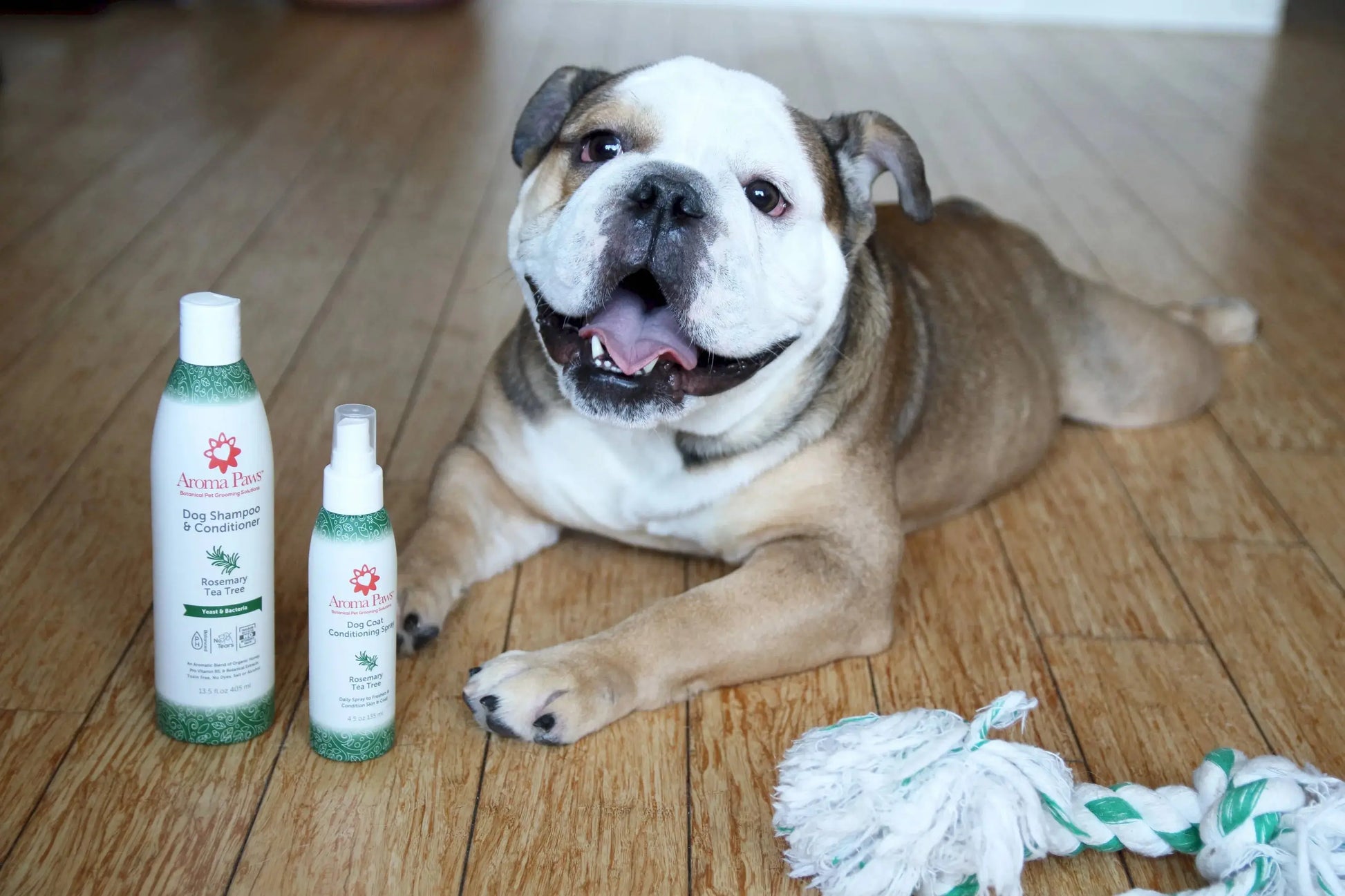 Dog coat spray with rosemary and tea tree for freshness and tangle-free care