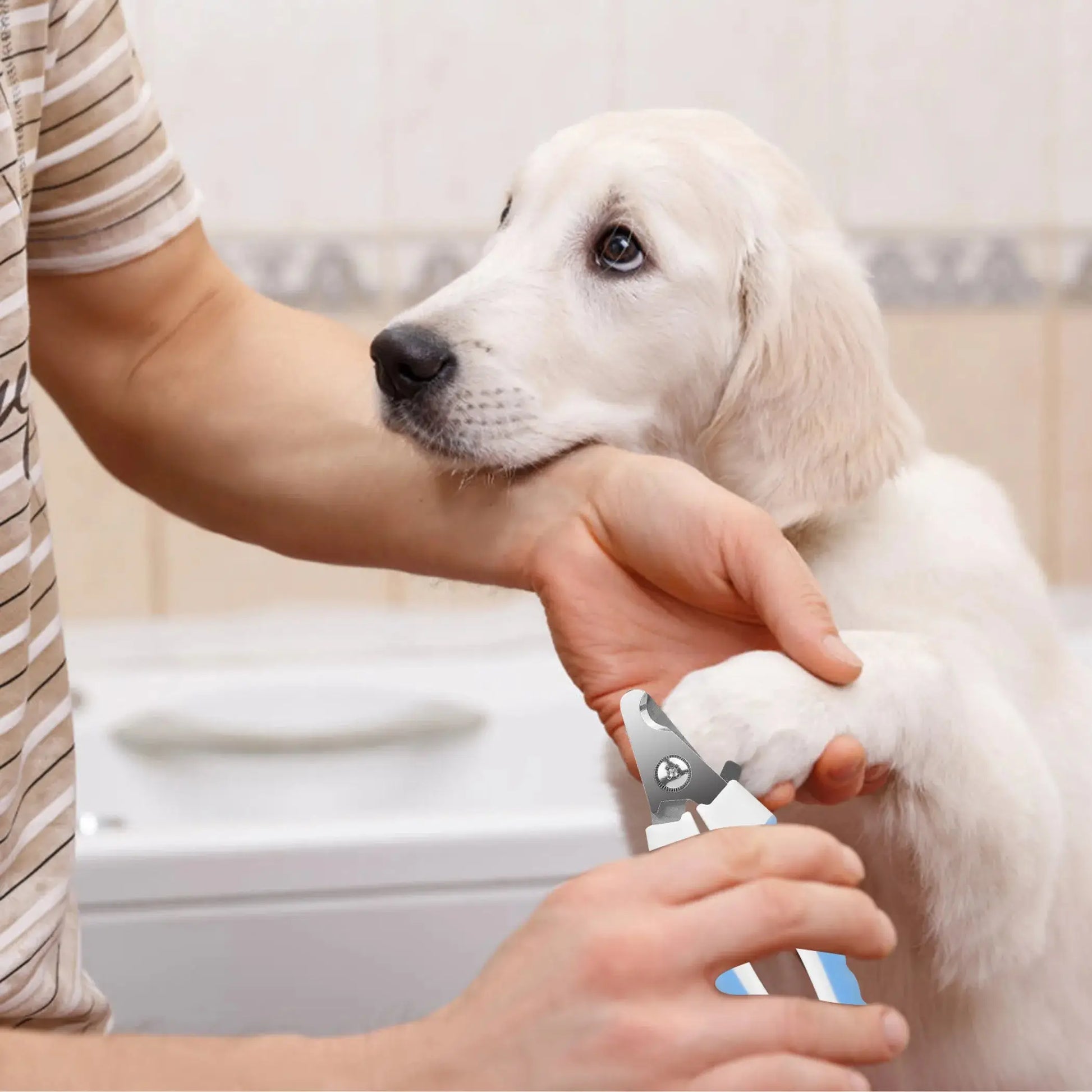 Dog Nail Clippers – White and blue handled pet nail clippers on white background – Professional dog nail clippers – Rosie's Pet Paradise