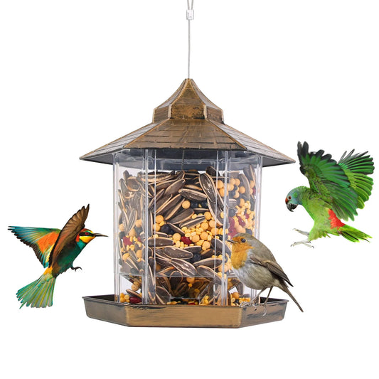 Bird feeder with birds around on a white background