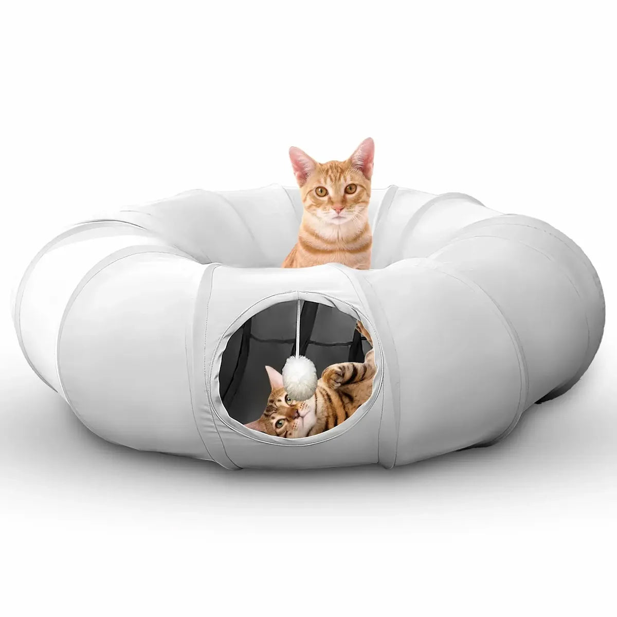Modern white pet bed with two cats inside on a white background