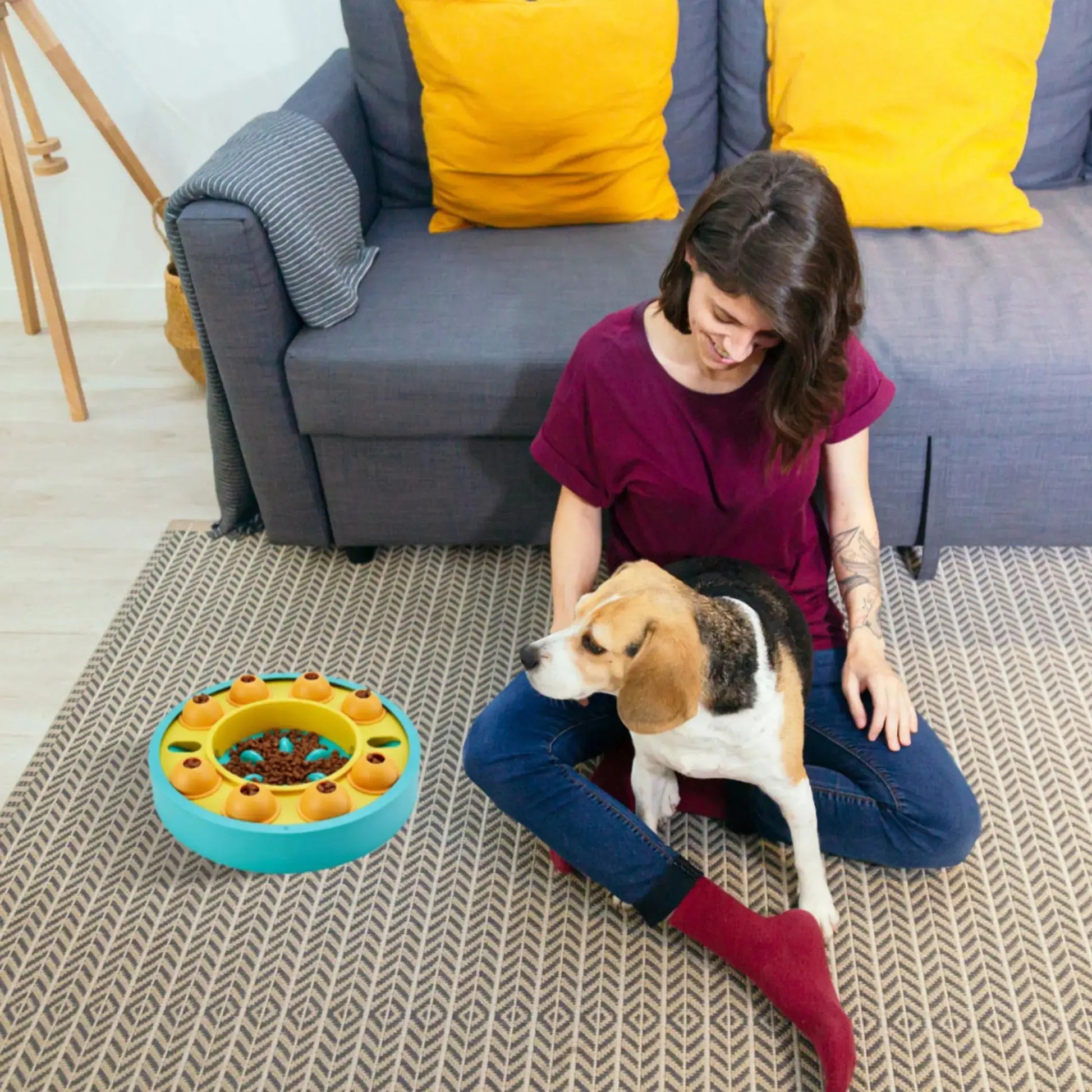 Woman sitting on the floor with a dog next to a blue and yellow pet toy in a living room.