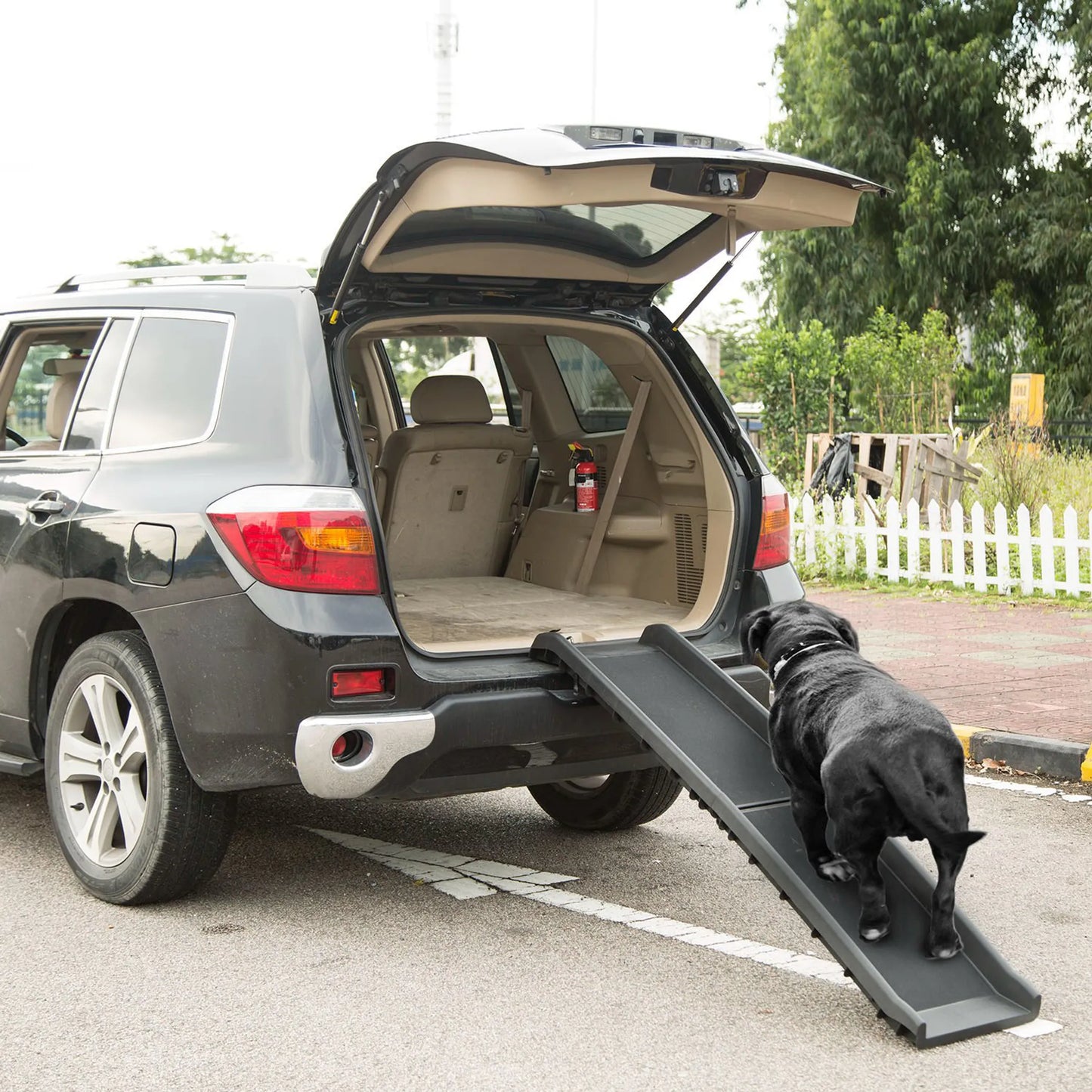 Dog using a pet ramp to enter an open car door