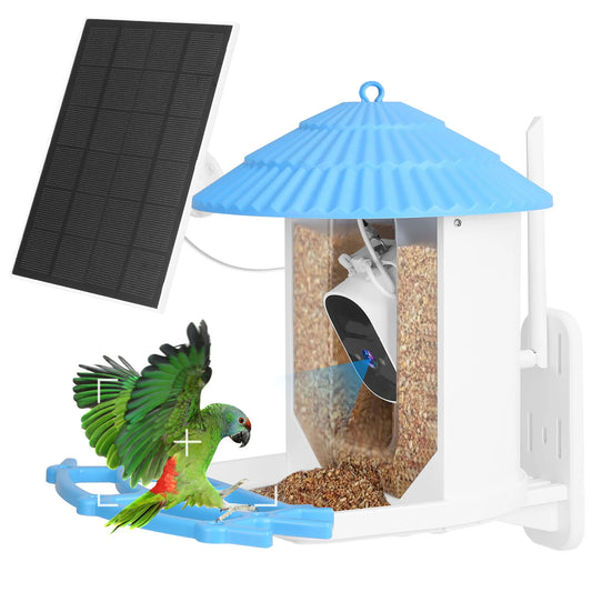 Bird feeder with solar panel, bird perched on blue platform, and birdseed inside.