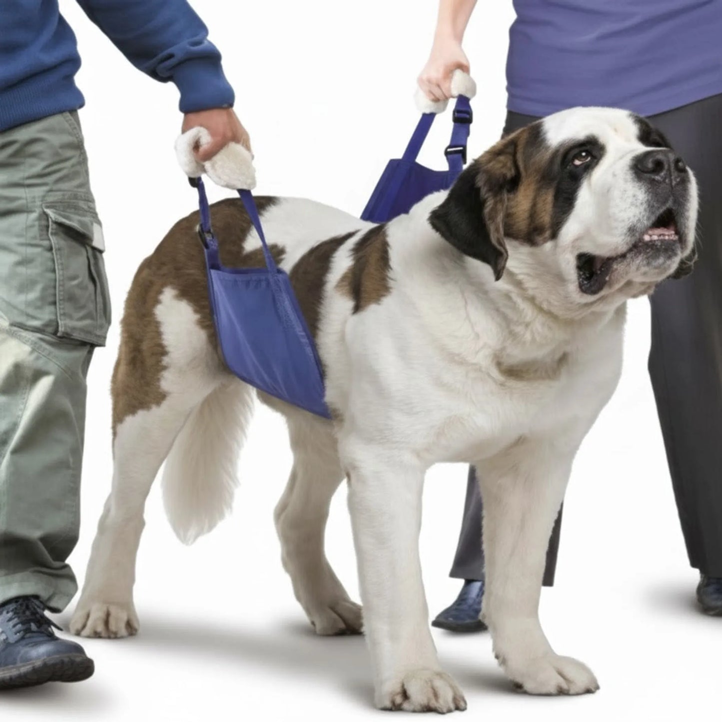 Original Quick Lift Support Harness – White dog in blue harness with handler – Dog mobility harness – Rosie's Pet Paradise