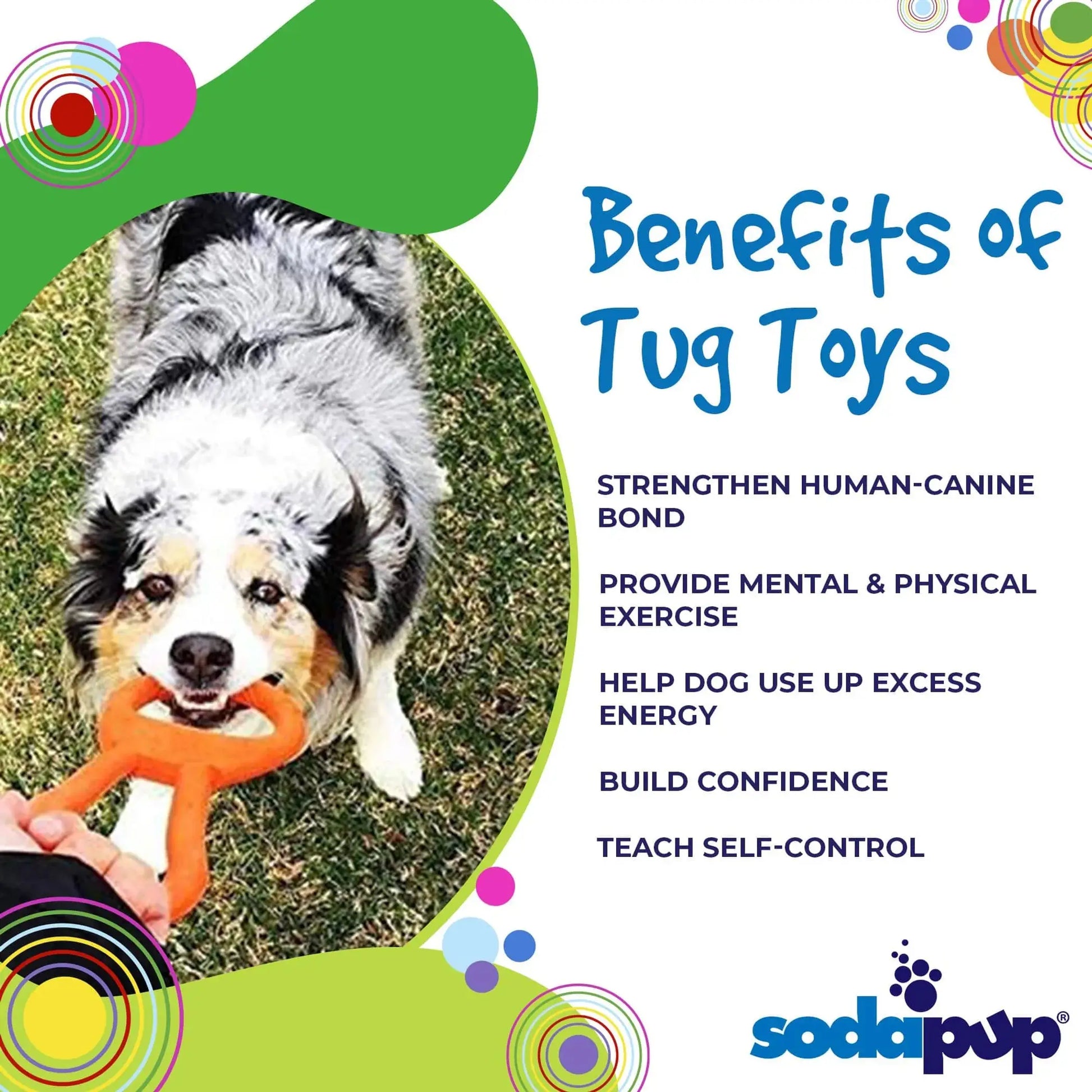 Dog playing with a tug toy, with text listing benefits of tug toys and SodaPup logo.