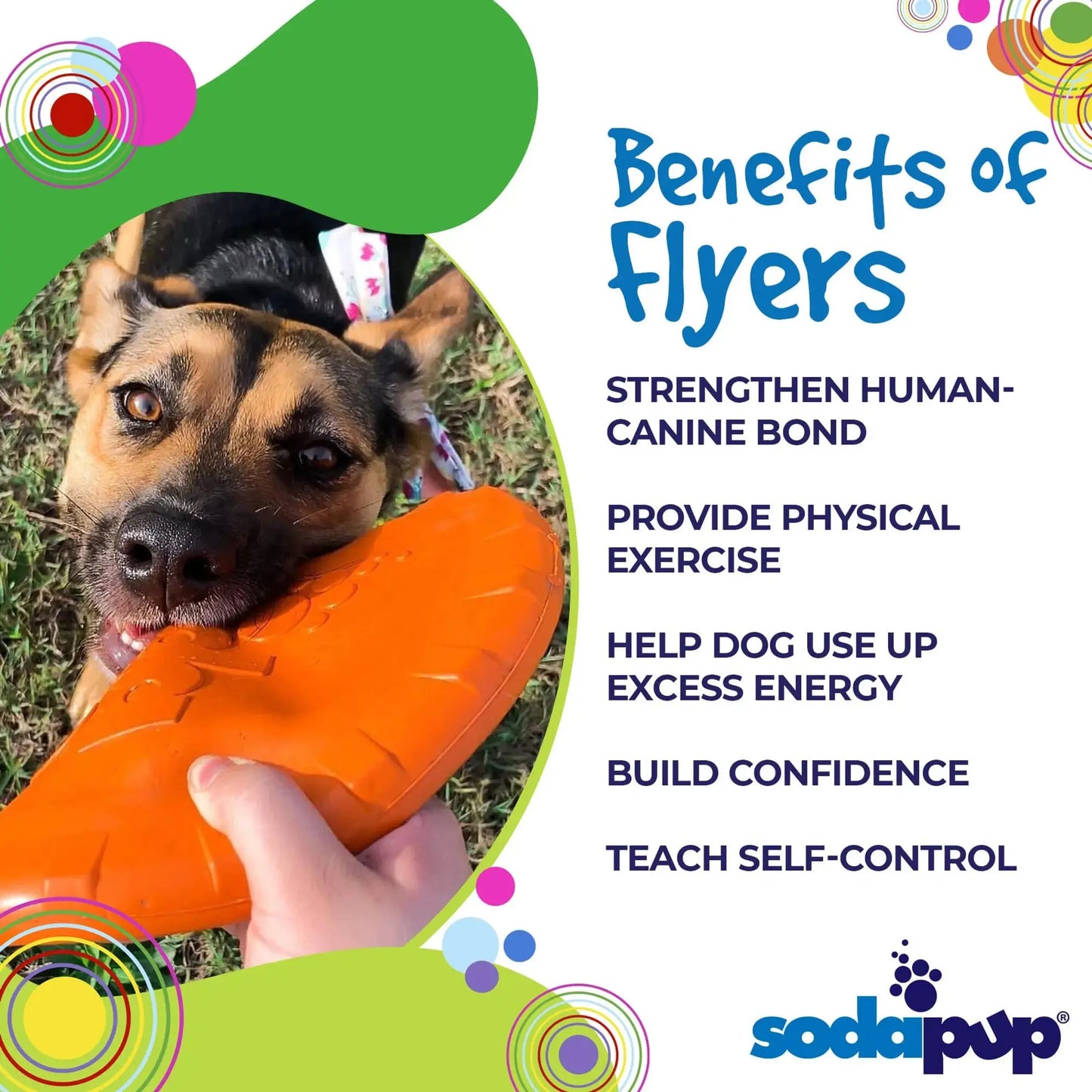 Dog holding an orange flyer with text listing benefits of using flyers, branded as SodaPup.