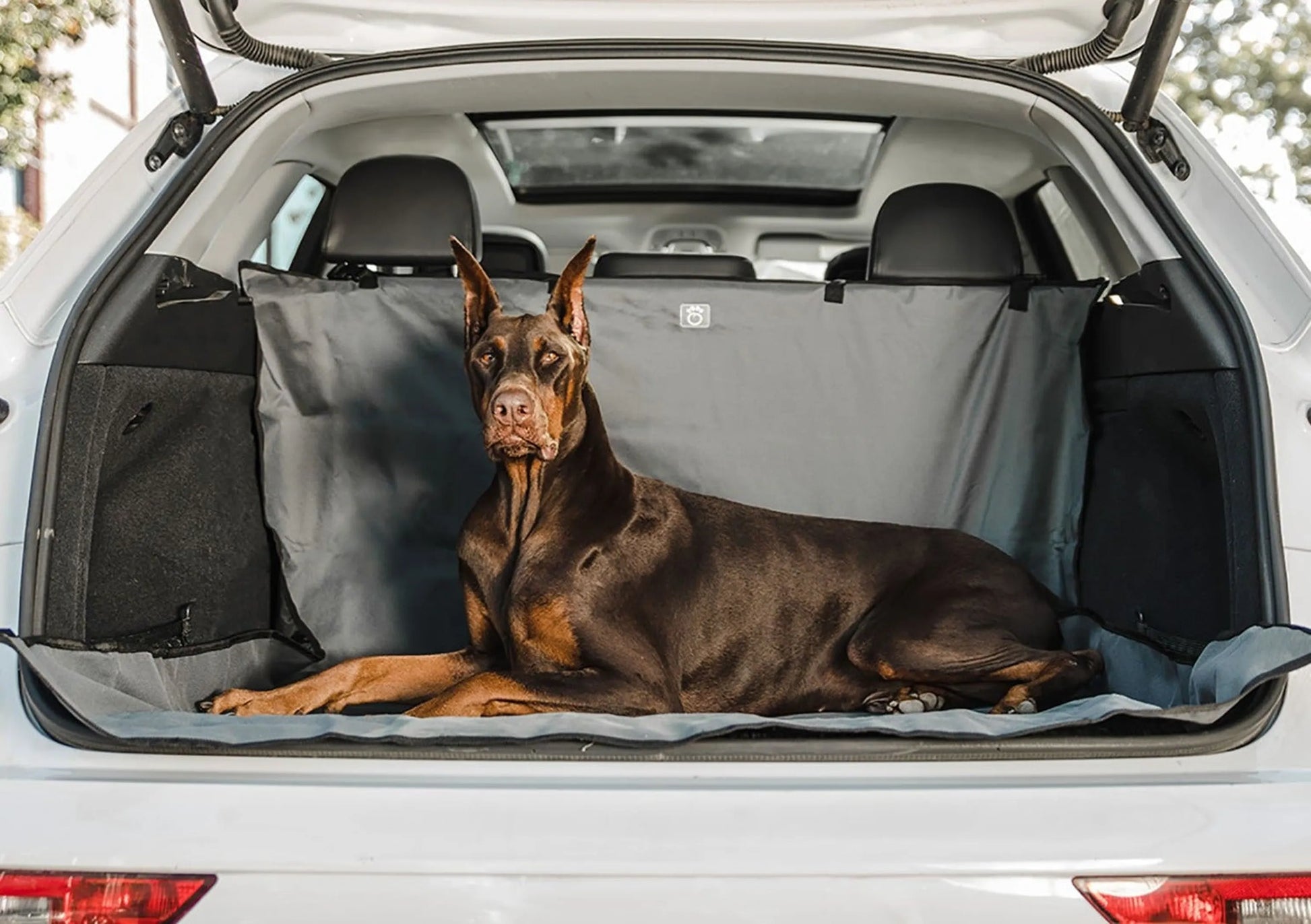 Dog lying on a car mat in the open trunk of a vehicle