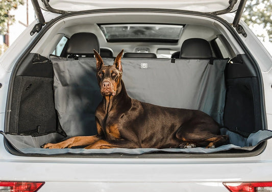 GF Pet Cargo Cover – Dog resting on cargo mat in open car trunk – Waterproof dog car cargo cover – Rosie's Pet Paradise