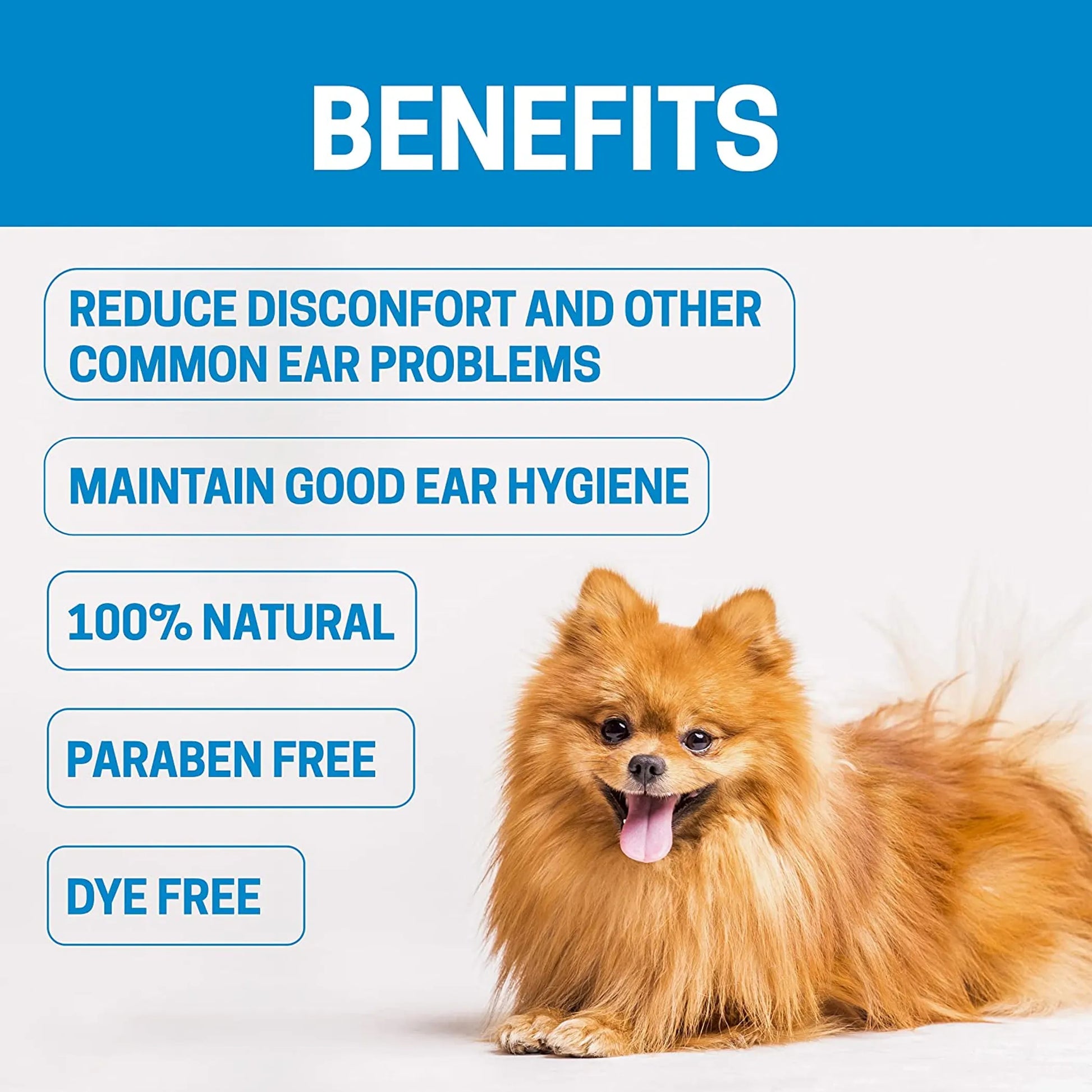 Dog with benefits listed on a blue and white background