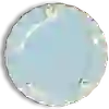 Cat Whisker Plate