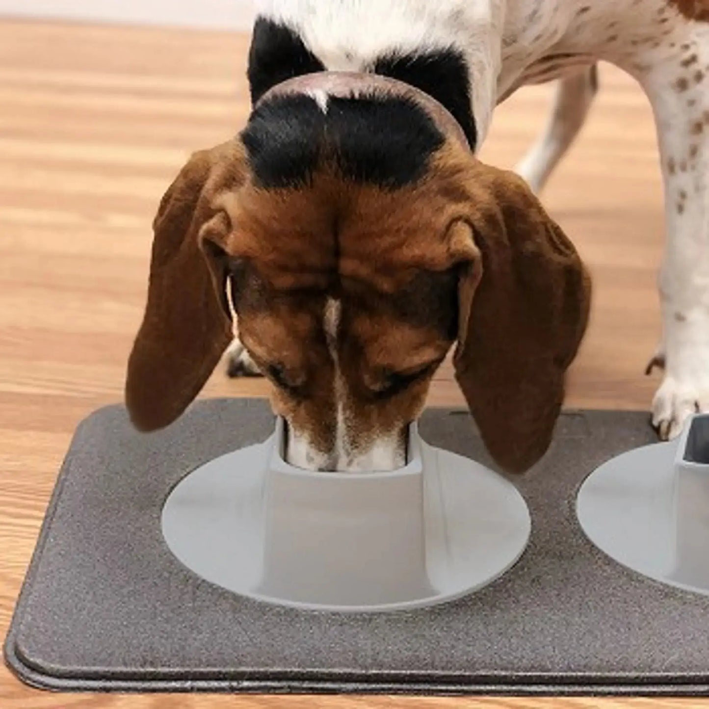 Ear-Clear Pet Feeding Station – Elevated bowls and feeding mat on white background – Dog and cat feeding station – Rosie's Pet Paradise