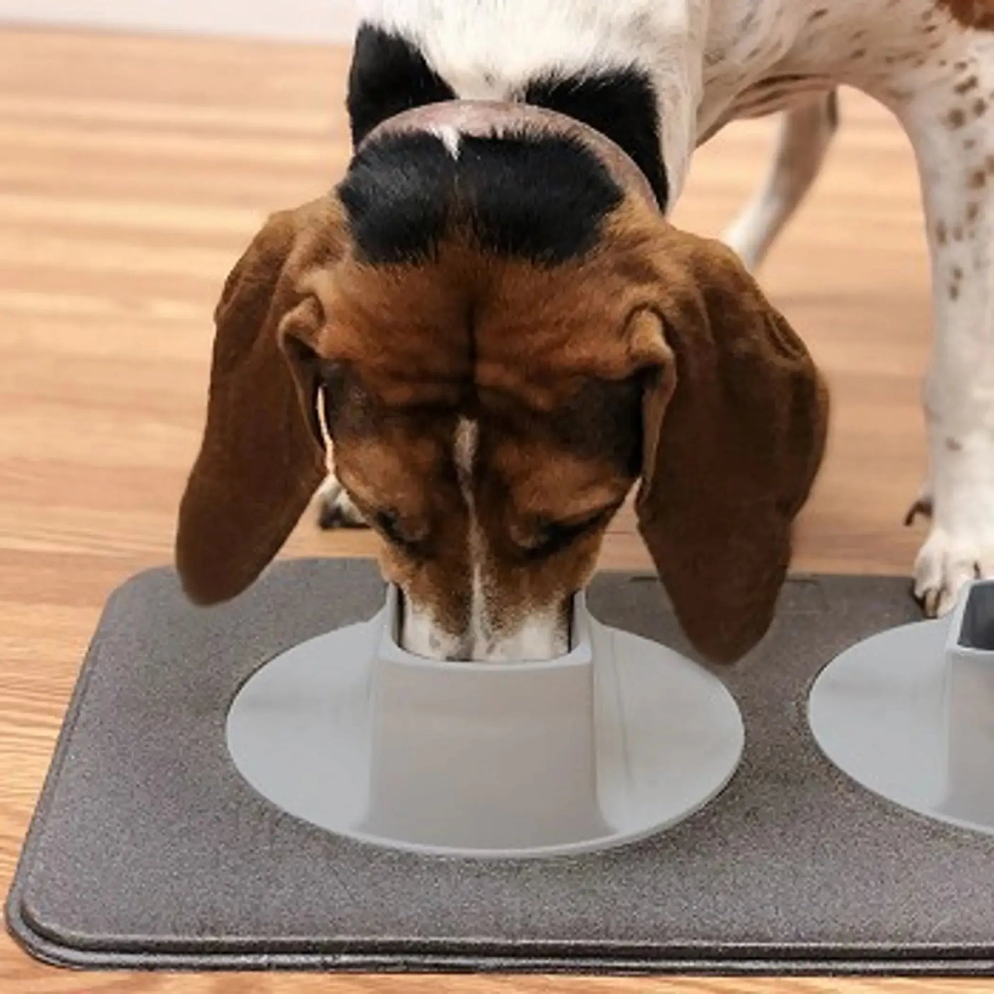 Ear-Clear Pet Feeding Station – Elevated bowls and feeding mat on white background – Dog and cat feeding station – Rosie's Pet Paradise
