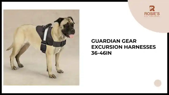 Guardian Gear Excursion Harnesses 36-46In by@Outfy