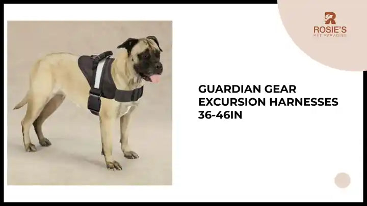 Guardian Gear Excursion Harnesses 36-46In by@Outfy