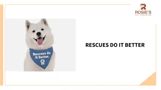Rescues Do it Better by@Outfy