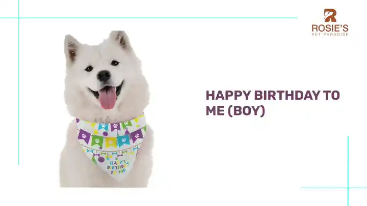 Happy Birthday To Me (Boy) by@Outfy